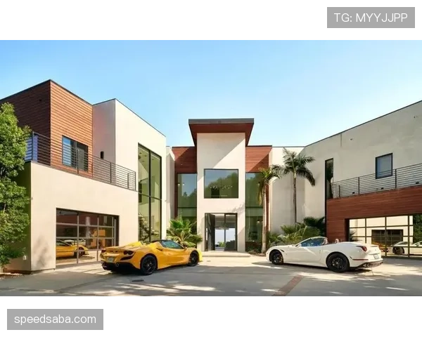 大阪刚买下比弗利山那栋玻璃别墅，月供够我交十年房租了