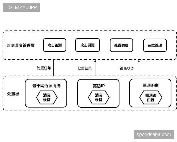 控球体系下里克尔梅与德科的组织路径分化机制